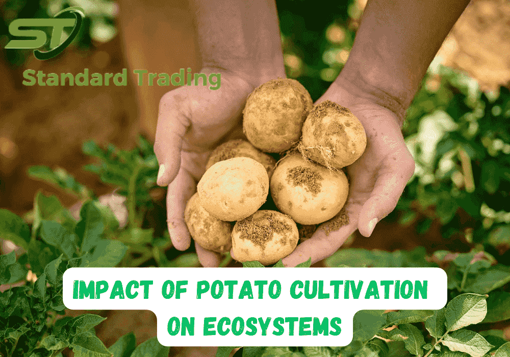 Impact of Potato Cultivation on Ecosystems